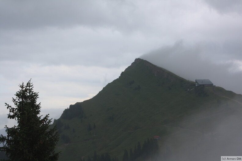 IMG_3242.JPG