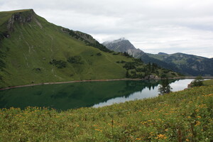 Alpen 2011