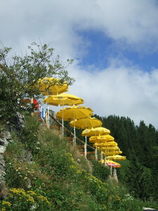 Sonnenschirmparade am Tegelberghaus