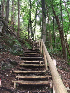 Steile Treppe auf dem Schwärzerweg von Füssen nach Vils
