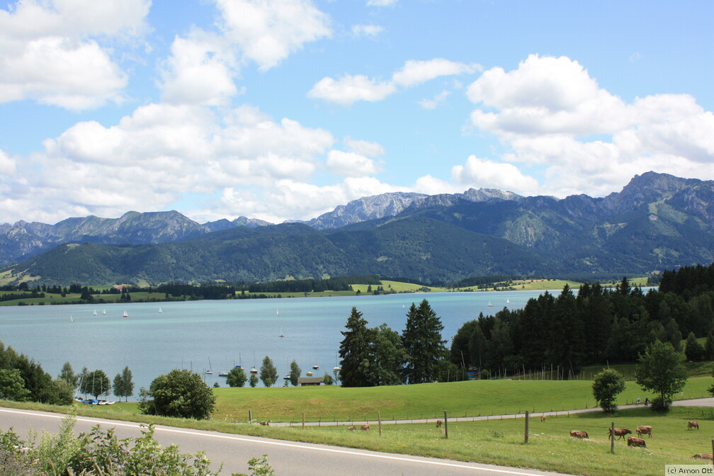 Panoramablick vom Schwarzenbach