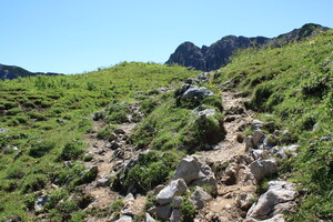 Felsiger Weg unterhalb der Sulzspitze 