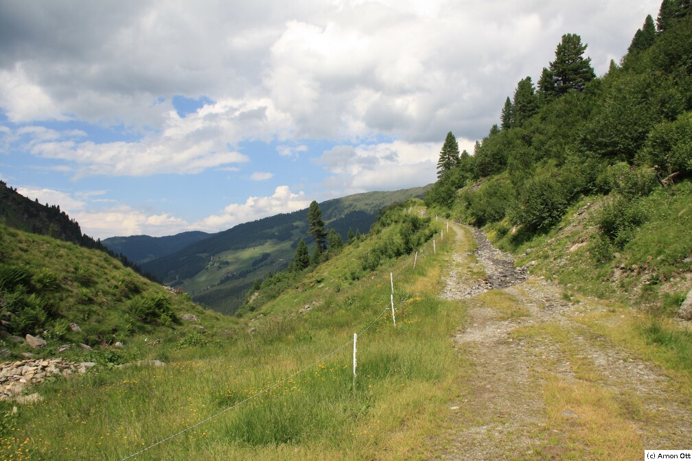 Fahrweg an der Grafens Alm in Richtung Weidener Hütte