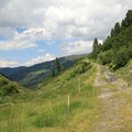 Fahrweg an der Grafens Alm in Richtung Weidener Hütte