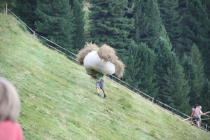 Heuernte an der Turnaretscher Hütte