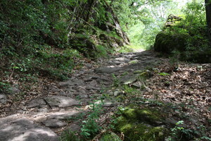 Römerweg über Söll