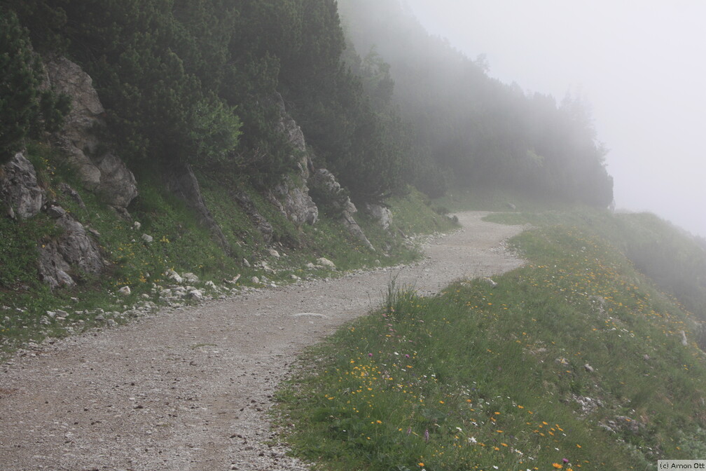 Saalfelder Höhenweg im Nebel