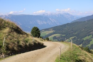 Fahrweg bei der Sagaalm