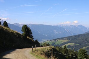 Fahrweg bei der Sagaalm und Inntal
