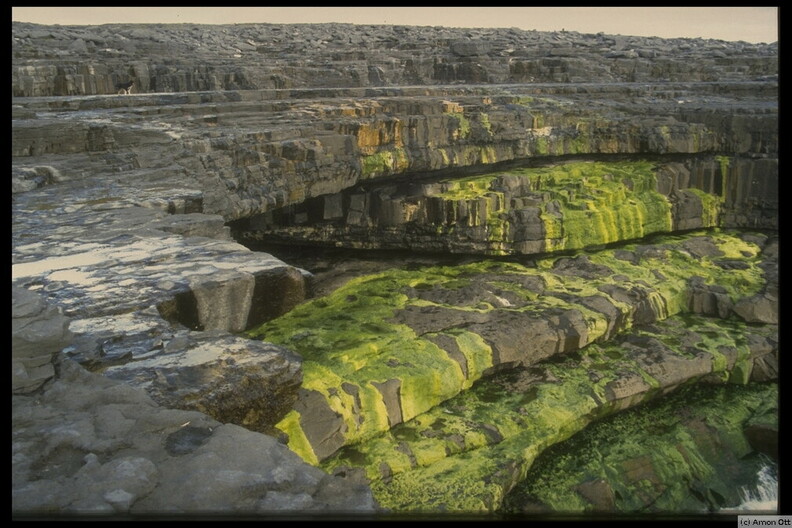 Stone Terraces, near Black Fort, Inishmore, Aran Islands, Co. Galway, 1994