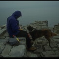 Tourist Guide Dog in Dun Aengus, Inishmore, Aran Islands, Co. Galway, 1995