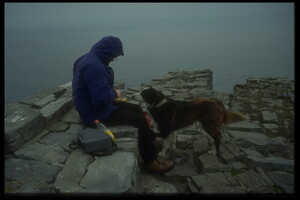 Tourist Guide Dog in Dun Aengus, Inishmore, Aran Islands, Co. Galway, 1995