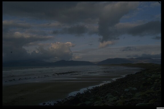 At Glenbeigh Wood Beach, Ring of Kerry, Co. Kerry, 1997