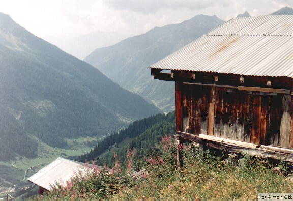 Wallishütte am Abhang