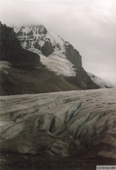 Athabaska Glacier on Glacier Highway
