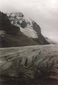 Athabaska Glacier on Glacier Highway