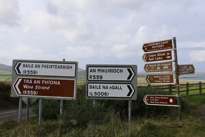 Signs on Dingle