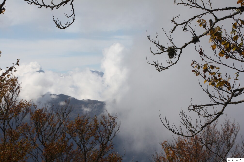  Blick vom Monte San Petrone