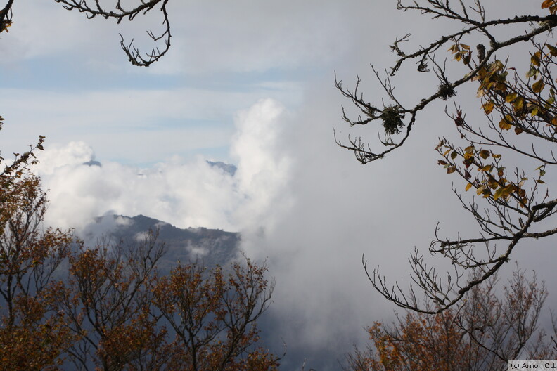  Blick vom Monte San Petrone