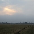 Nebel-Wiesen am Fjord bei Bjerregård