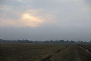 Nebel-Wiesen am Fjord bei Bjerregård