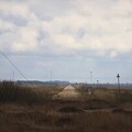 Tipperne