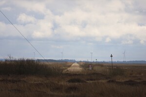 Tipperne