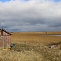 Hütte am Fjord bei Bjerregård