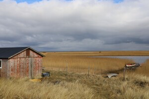 Hütte am Fjord bei Bjerregård