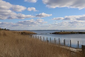 Steg bei Ringkøbing