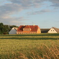 Bauernhof in Bølshavn