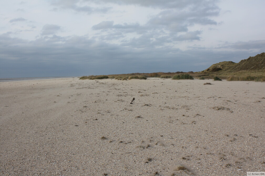 Sandtreiben am Sønderho Strand