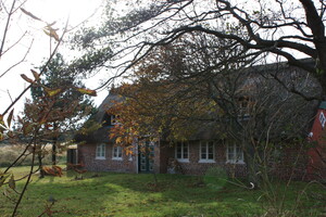 Altes Haus in Sønderho