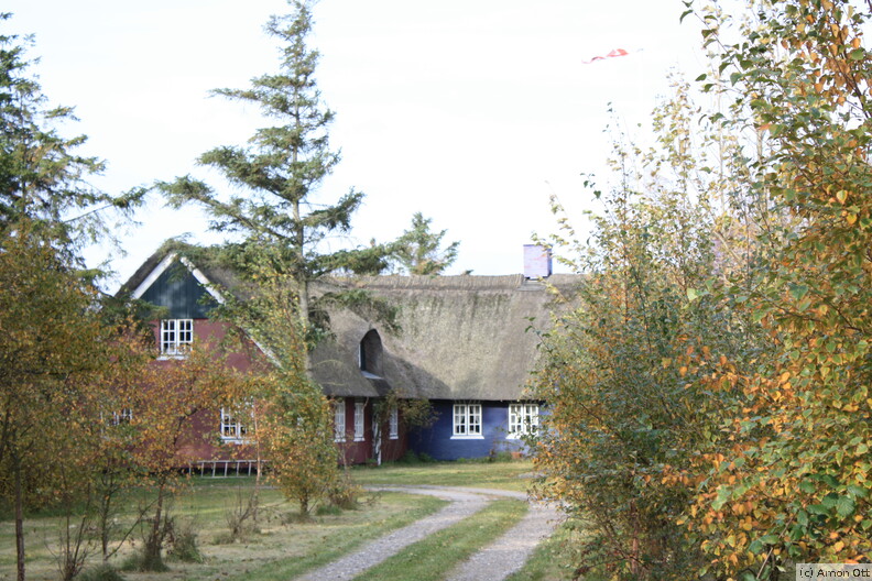 Lila Haus in Sønderho
