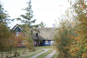 Lila Haus in Sønderho