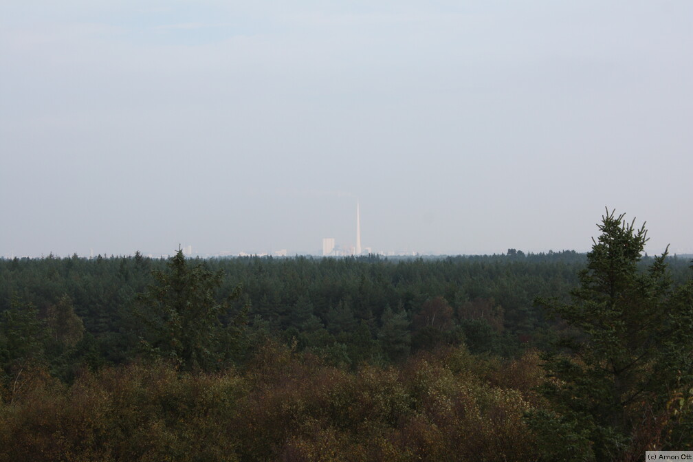 Kraftwerk Esbjerg über Wald und Heide