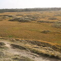 Nahe Sønderho Strandsø