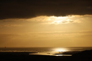Morgenlicht am Sønderho-Südstrand