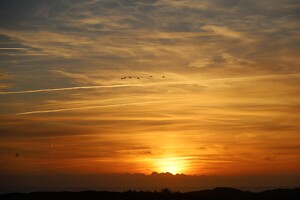 Sonnenuntergang am Sønderho-Strand