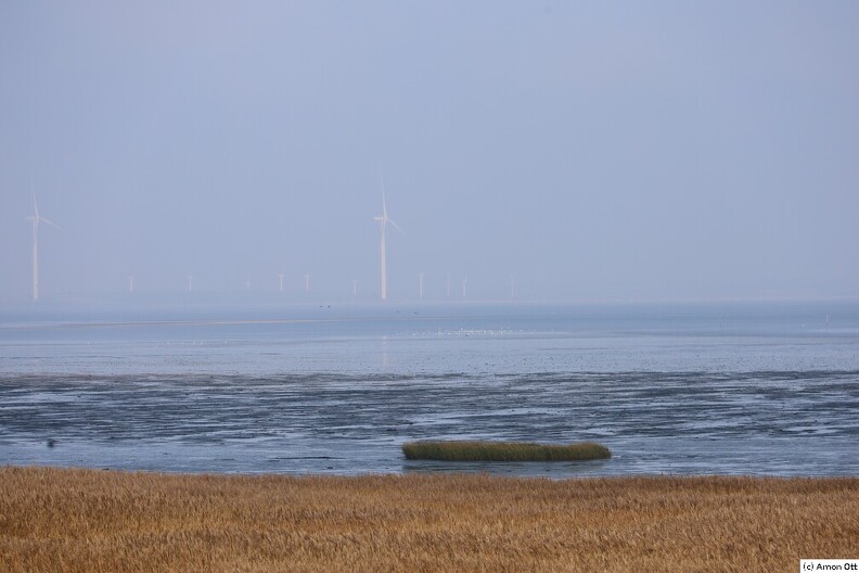 IMG_9900.JPG