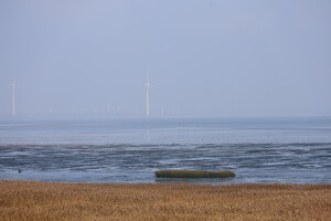 Fanø-Ostküste