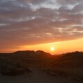 Sonnenaufgang bei Sønderho