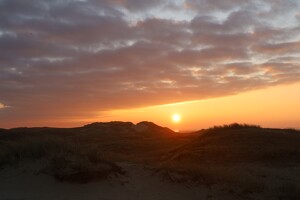 Sonnenaufgang bei Sønderho