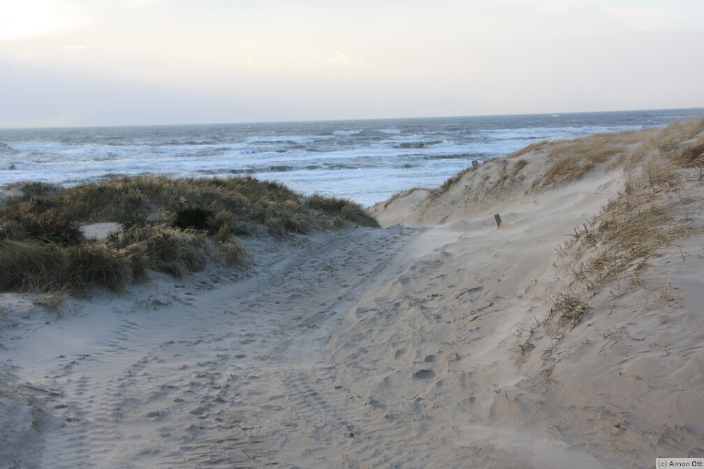 Hvide Sande Strand