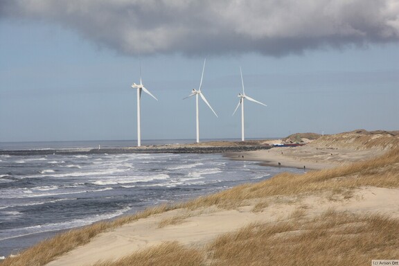 Windmühlen in Hvide Sande