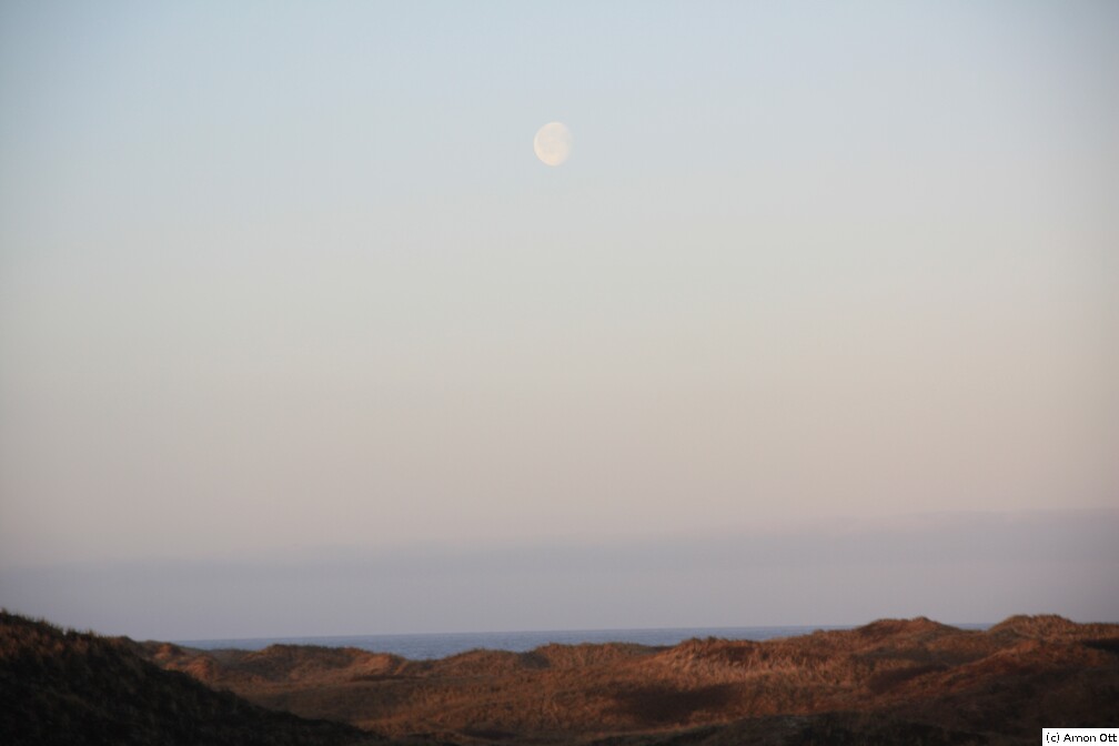 Mond über Søndervig Strand