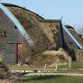 Wikingerhaus in Bork Havn