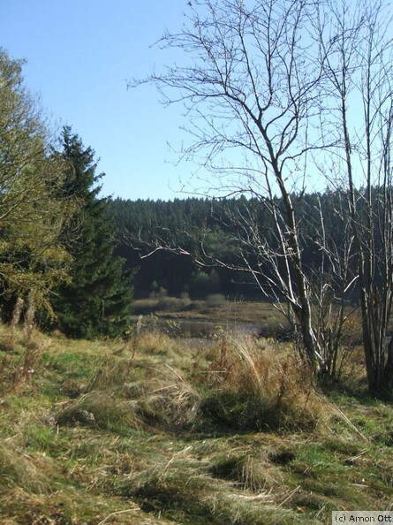 Mandelholz-Stausee