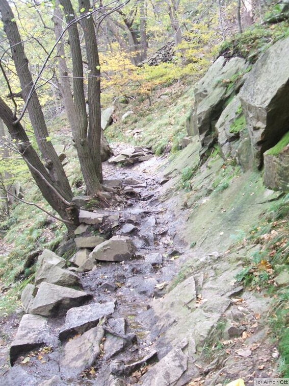 Steiniger Wanderweg im Bodetal zwischen Thale und Treseburg