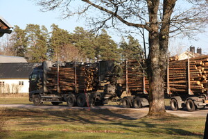 Holzlaster in Hallaböke